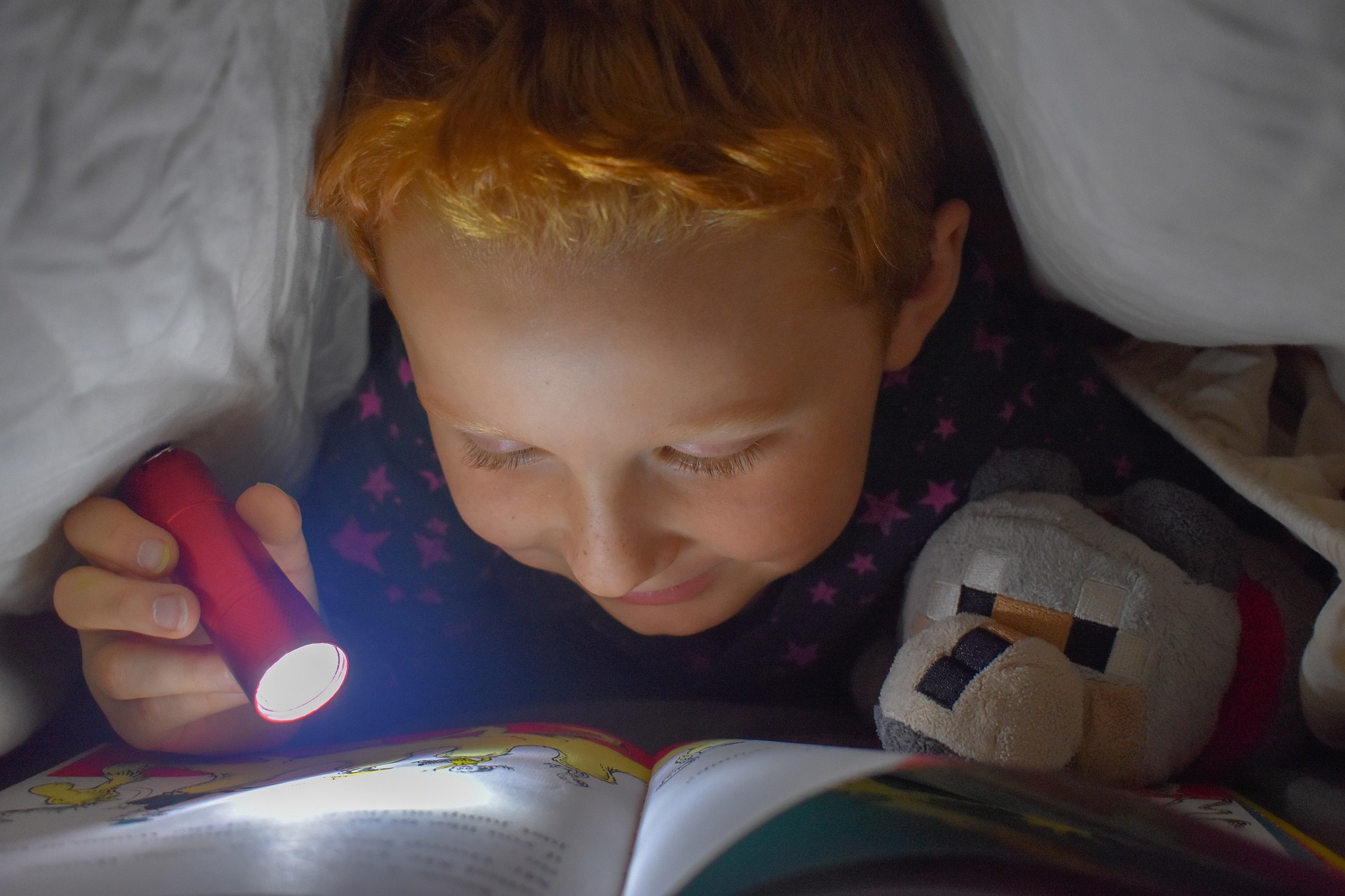 Visual Learners - How to Choose the Best Homeschooling Methods