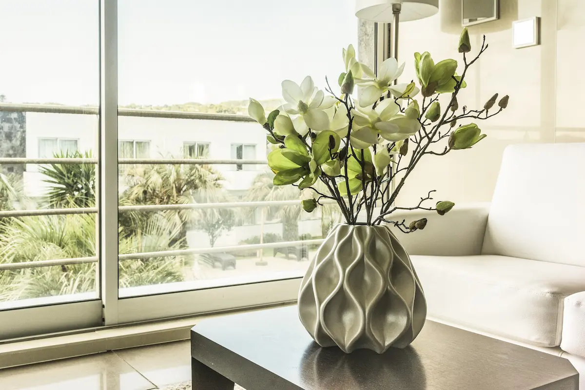Home Interior Design: Plant